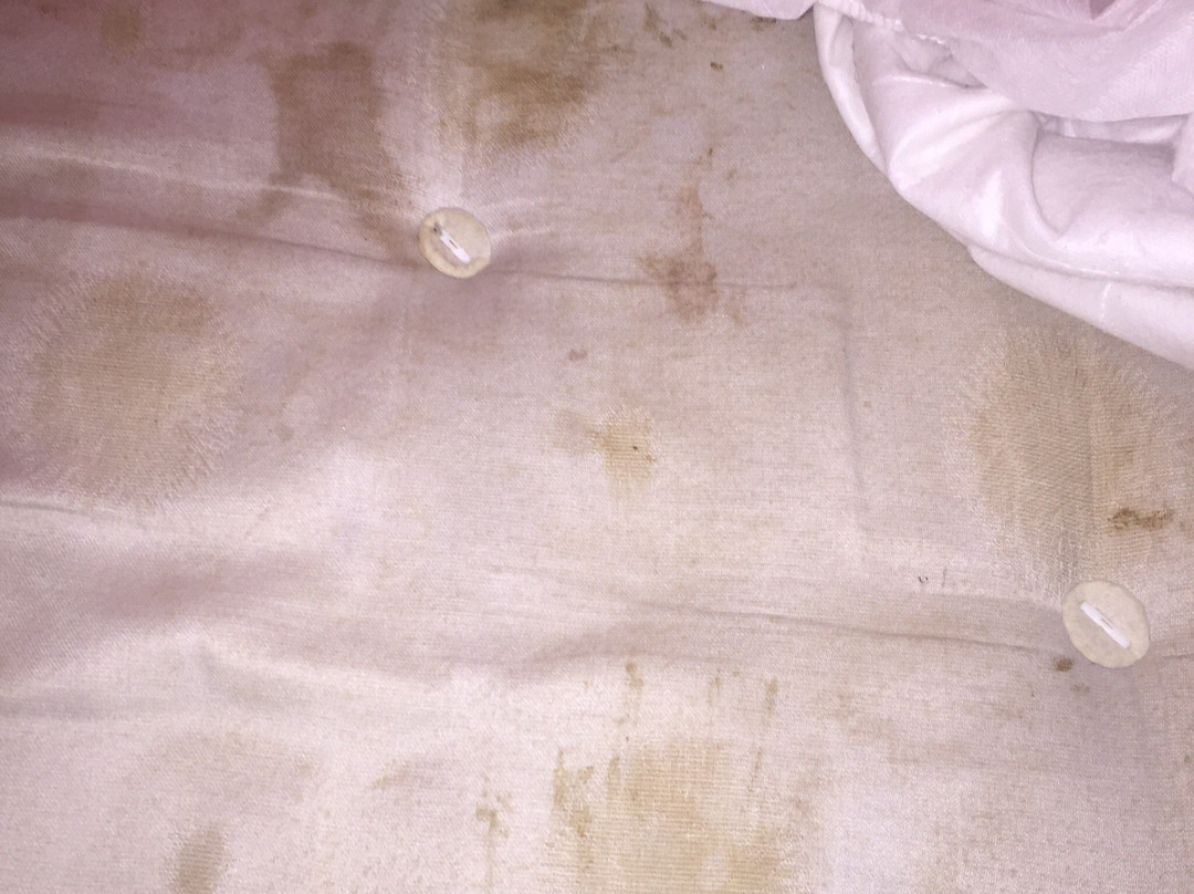 舒适的卢顿酒店