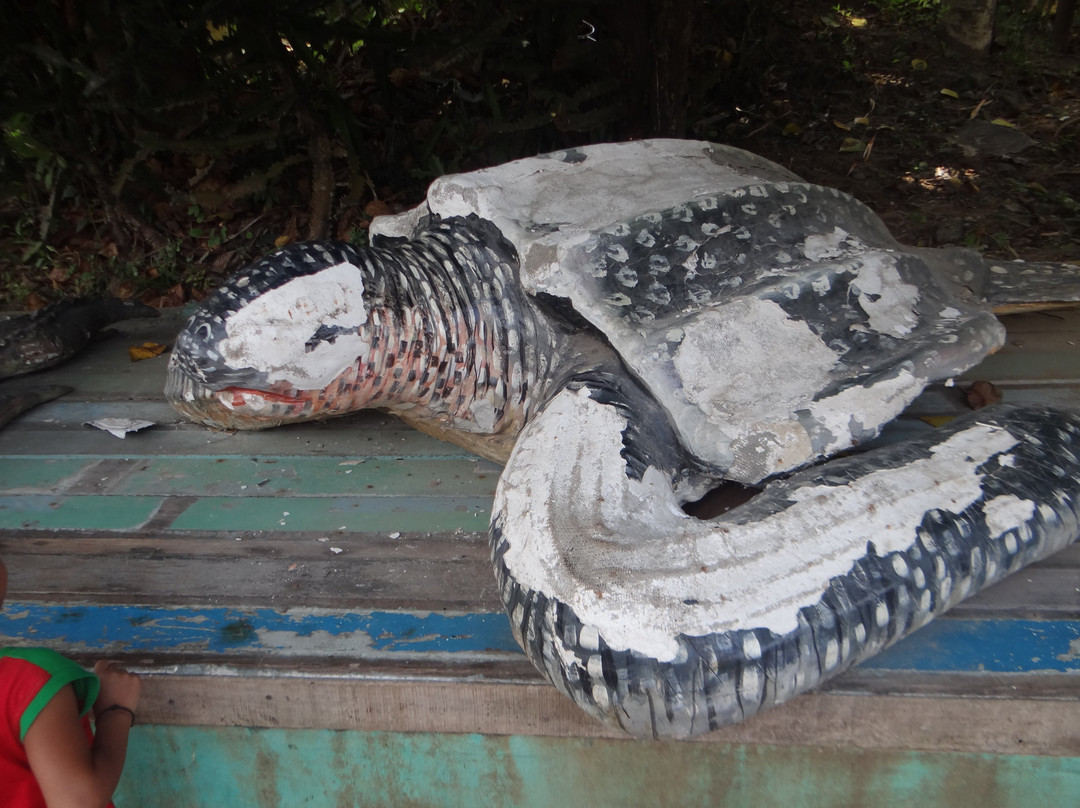 Forest Museum-布莱尔港必去景点