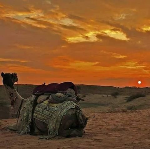 Rajasthan Taxi Wala景点图片