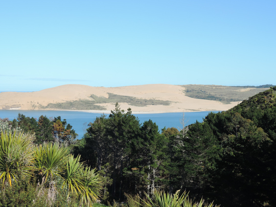 Kokohuia Lodge主图