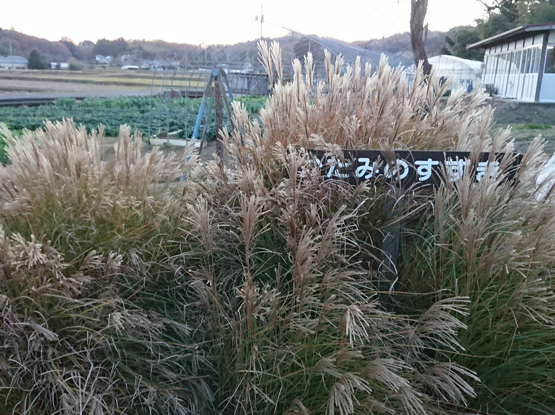 Lieutenant Fujihara Ason Sanekata Tombstone-名取市必去景点