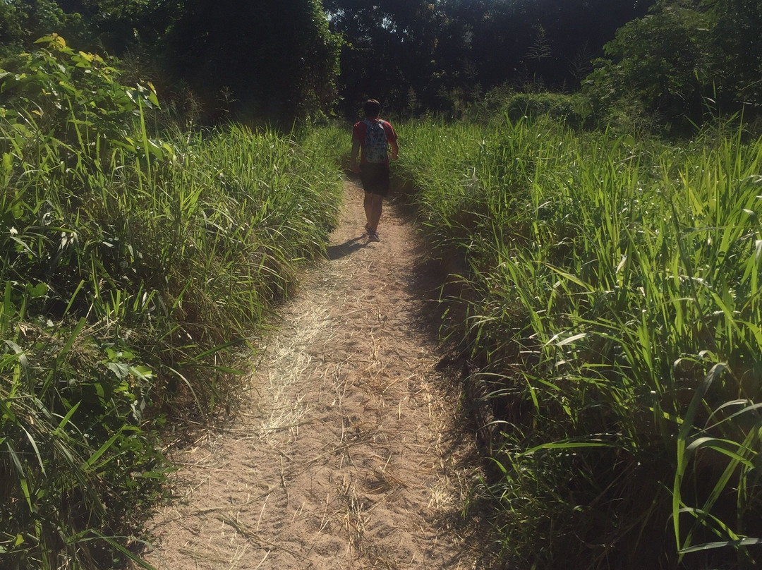 Playa Organo-瓦图尔科必去景点