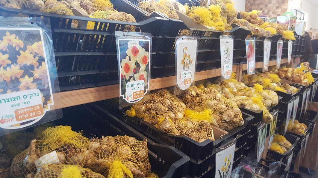 Boacha Yodfat-Yodfat必去景点