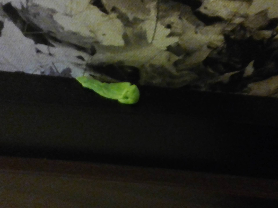 Super 8 by Wyndham Ava主图