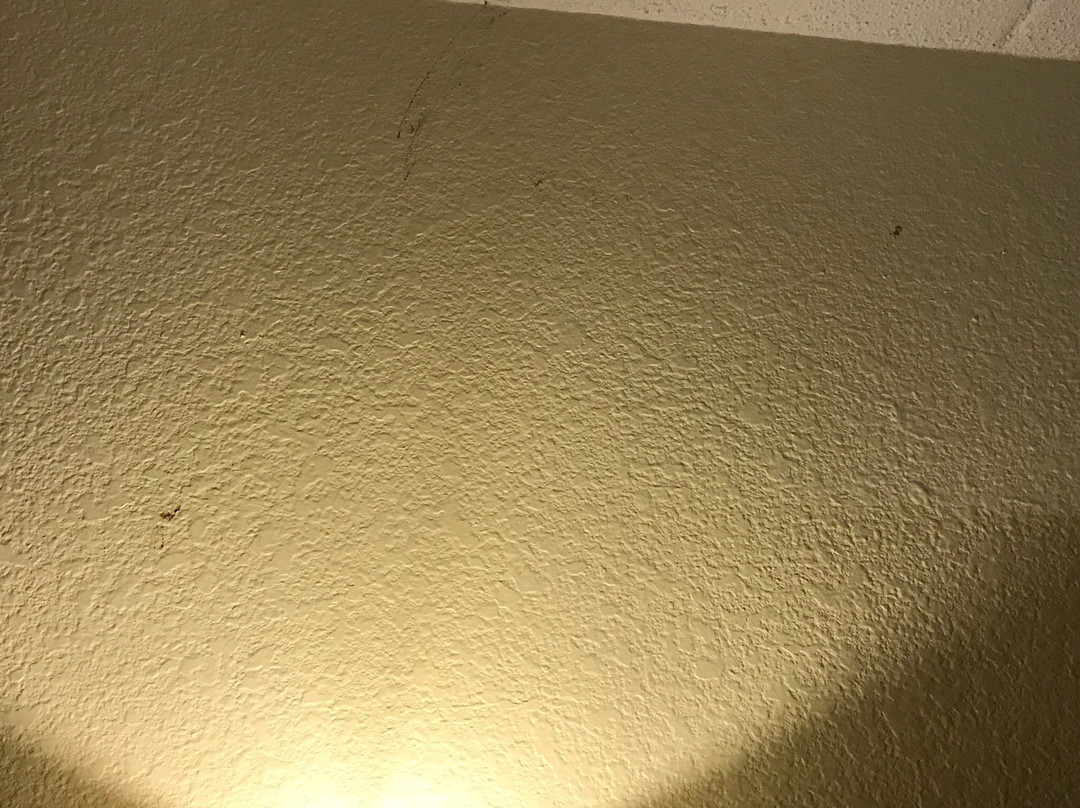 Cobblestone Hotel & Suites - Wisconsin Rapids主图