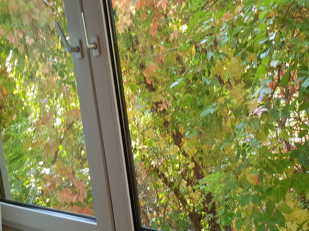 Hotel Klaus im Weinviertel主图