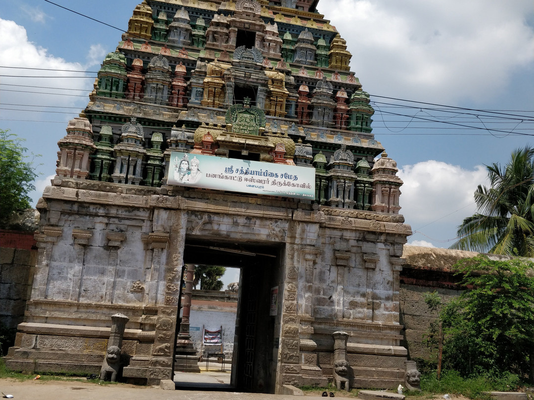 Panangatteswarar Temple景点图片