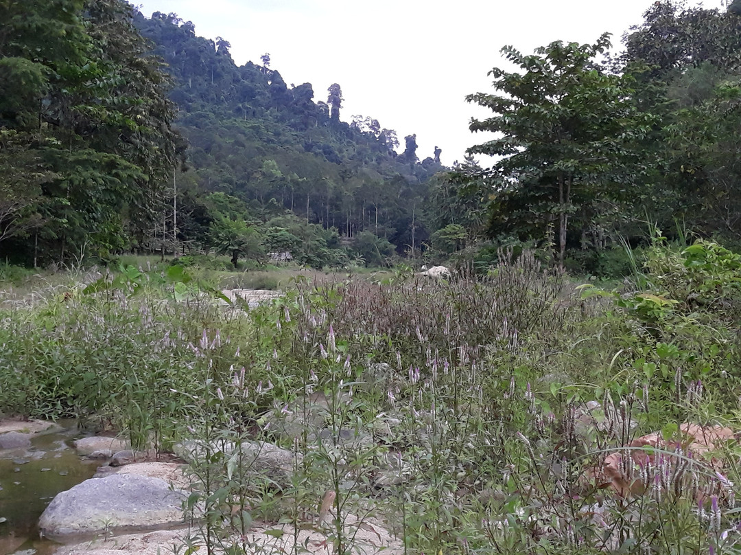 Khao Nan National Park景点图片