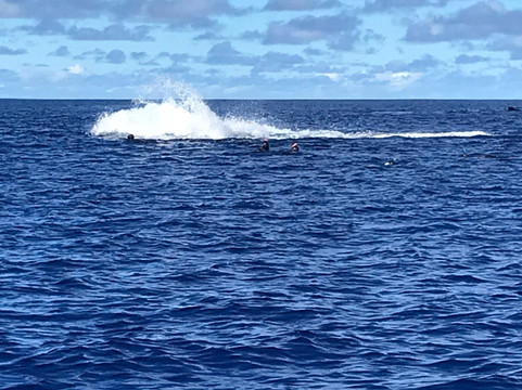 Rurutu Reefs-Rurutu必去景点