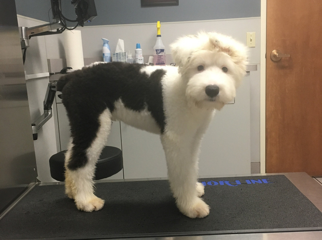 Jimmy Mak's-波特兰必去景点