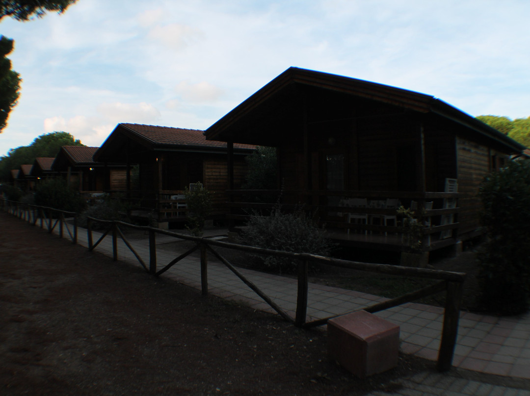 Camping Village Oasi主图