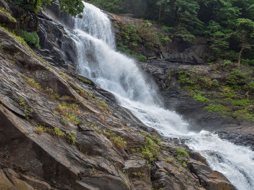 Wild Woods Spa and Resort主图