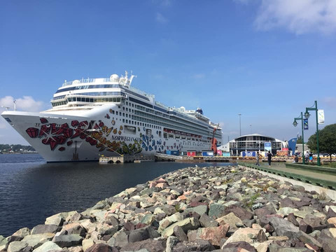 i Bike Sydney-悉尼必去景点
