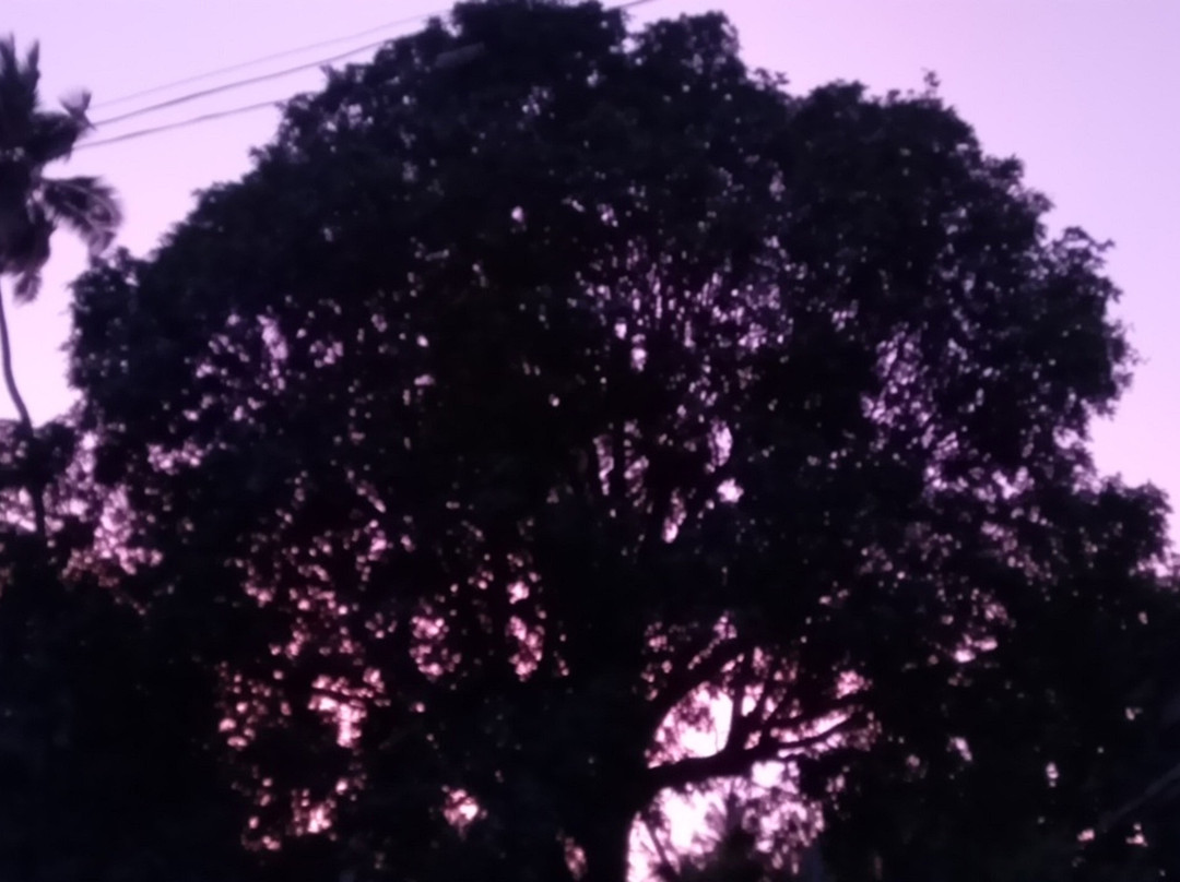 Auslyn Guest House主图