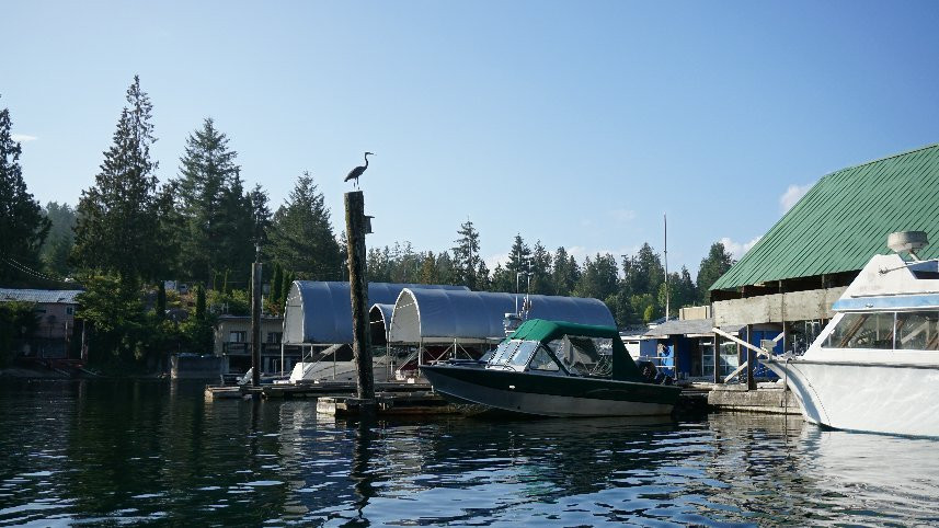 Bathgate General Store, Resort & Marina主图