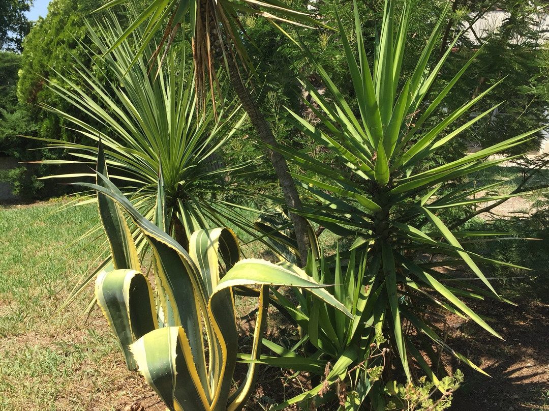 La Dimora dei 5 Sensi主图