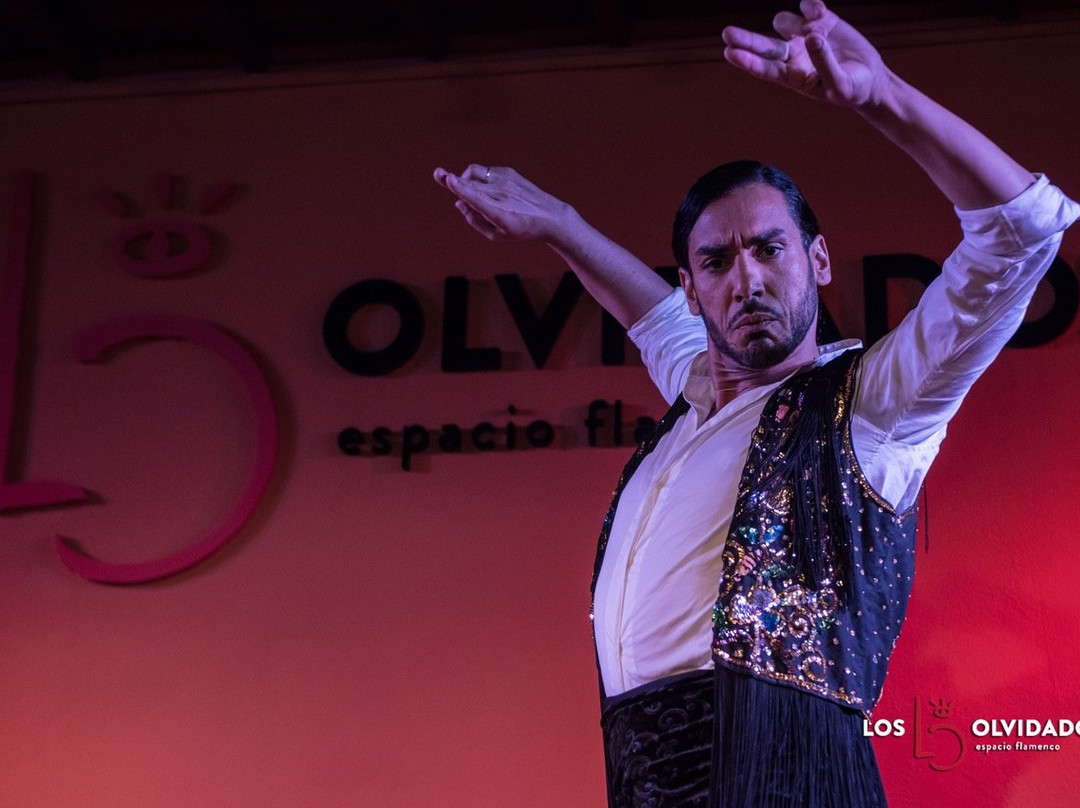 Flamenco los Olvidados景点图片