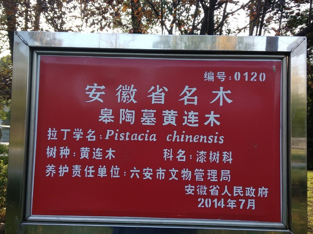 皋陶墓-六安市必去景点