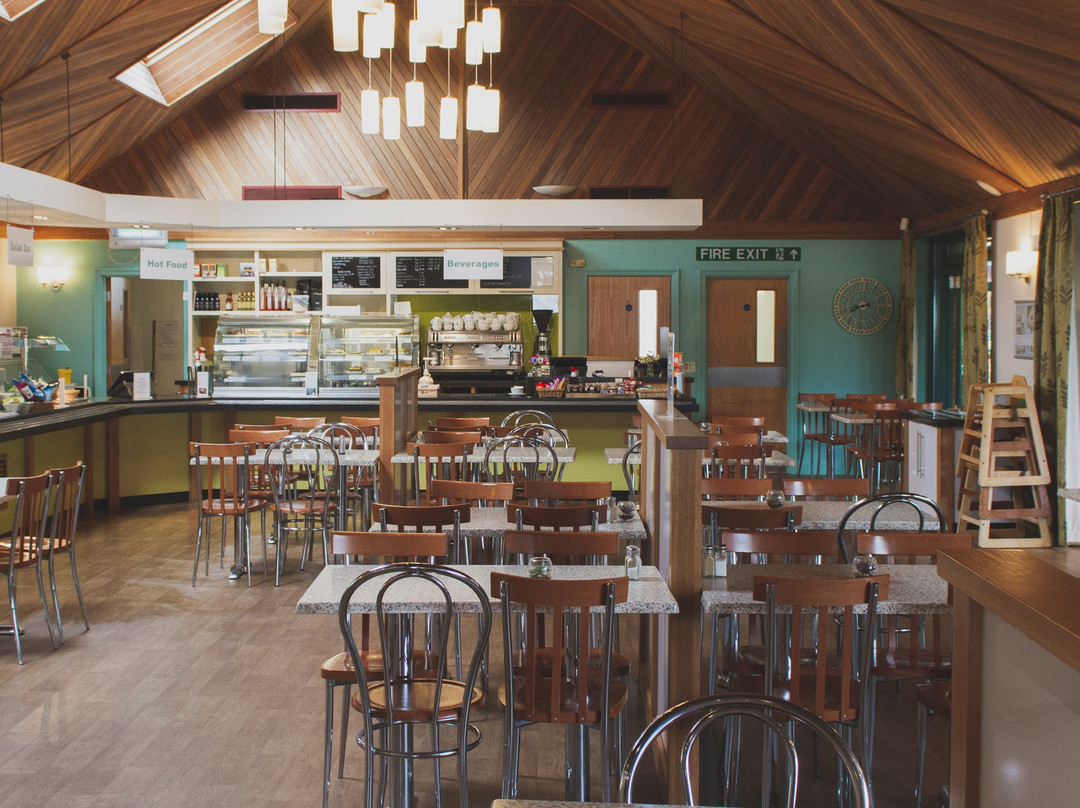 Newton Saint Cyres餐馆和美食-Lily Pond Restaurant Bernaville Nurseries