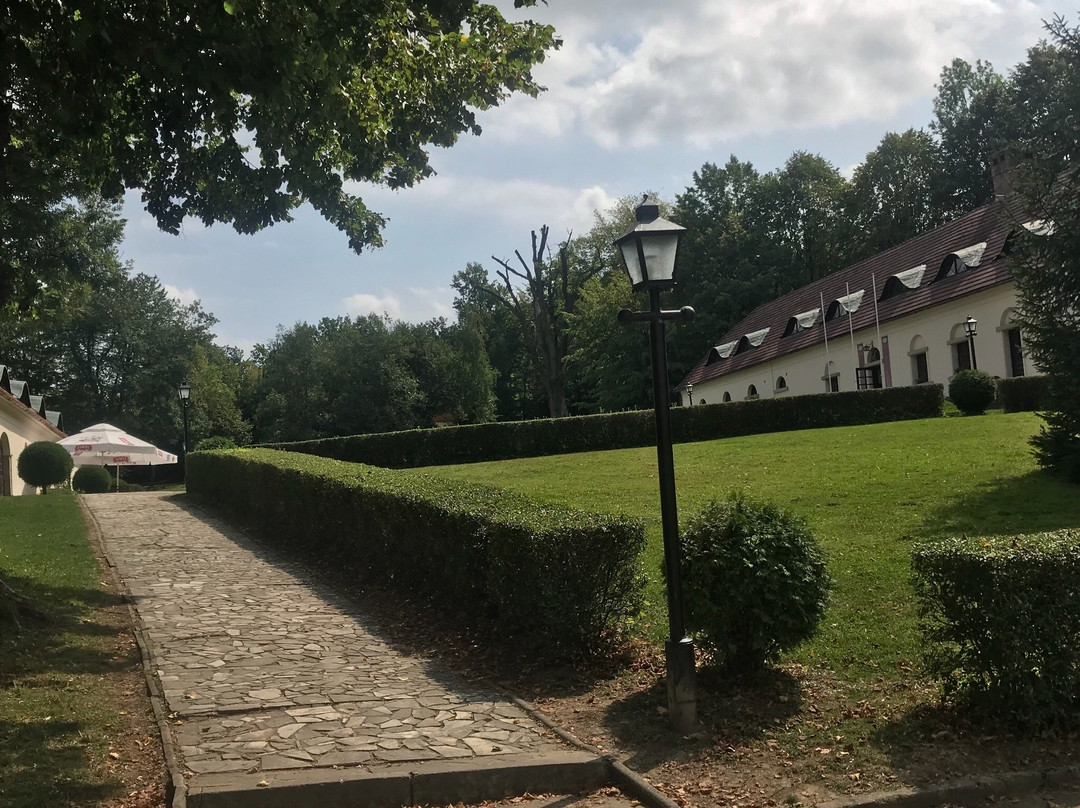 Zywiec旅游攻略图片