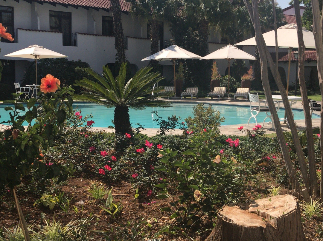 Garden Court Polokwane主图