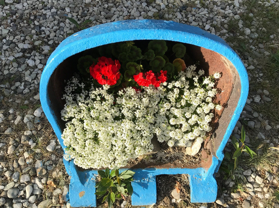 Goldrush Campground主图