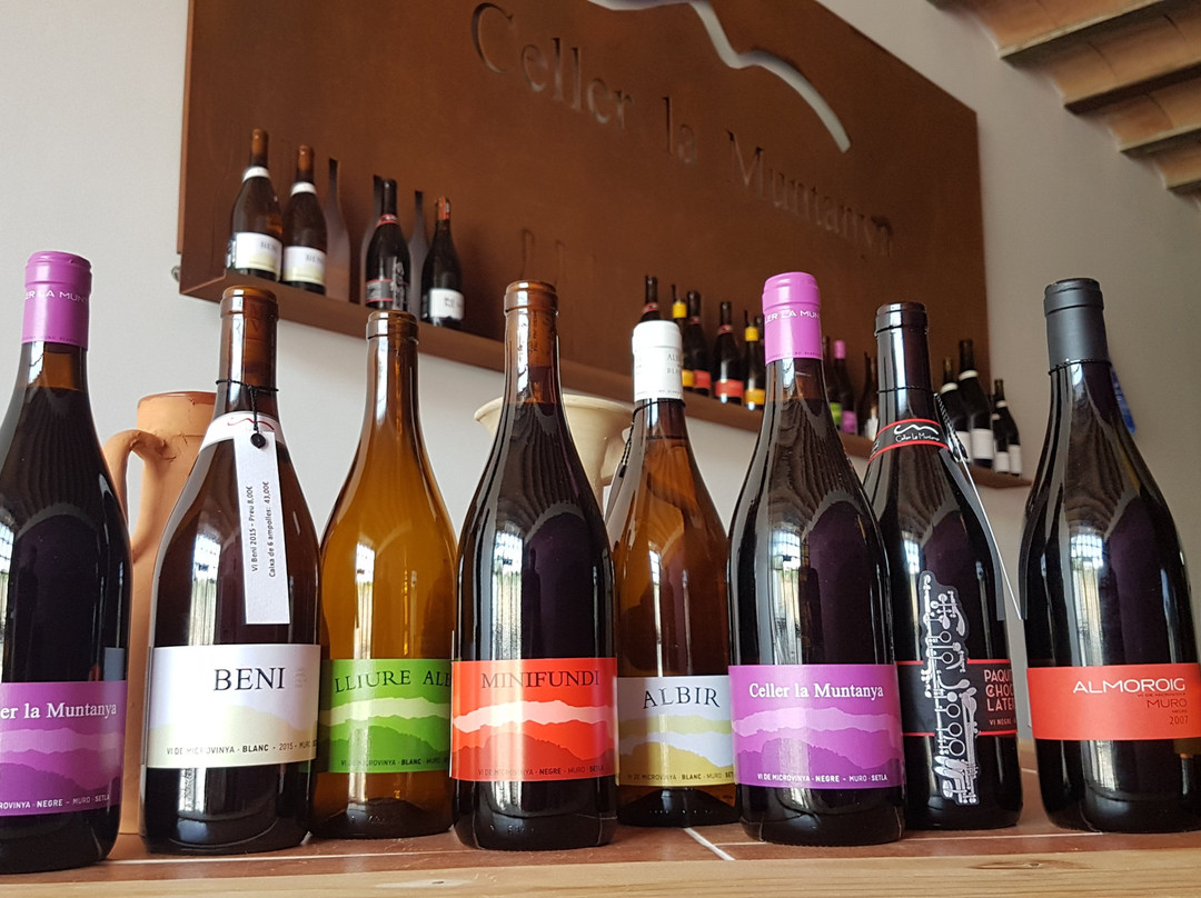 Ruta de Microvina del Celler la Muntanya景点图片