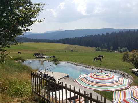 Hotel Die Halde主图