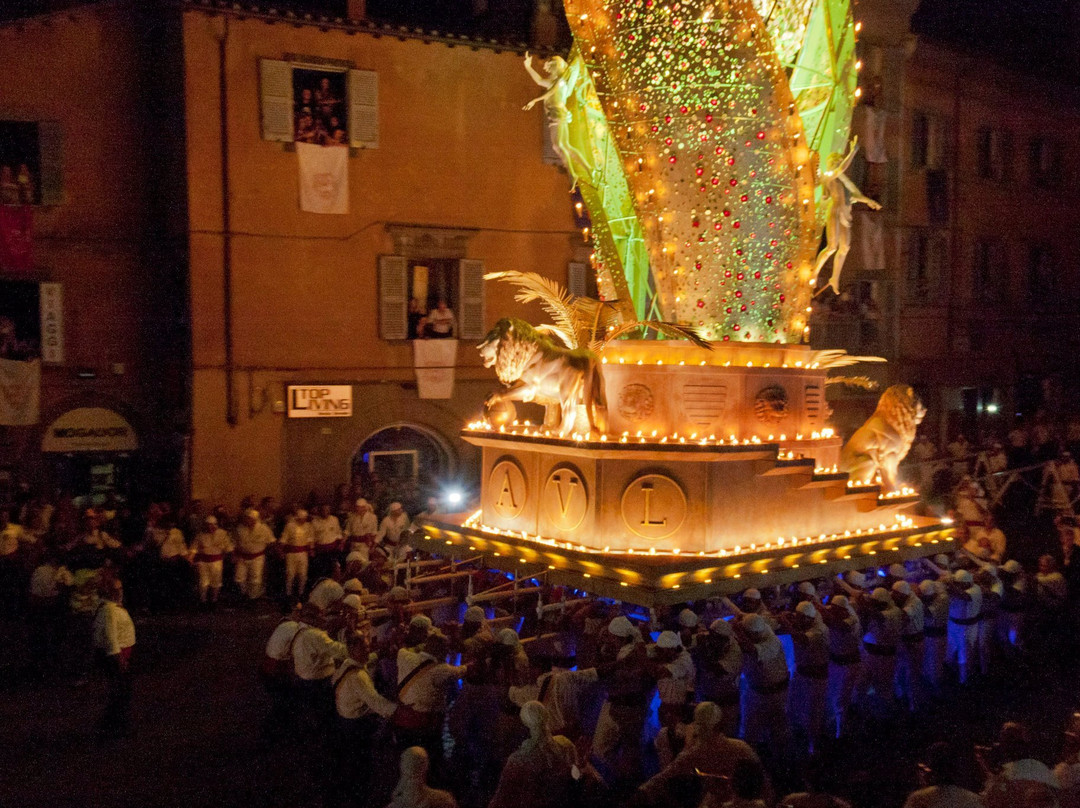 Ncc Limo Rome Tour di Osvaldo Seripa - Day Tours-奇维塔韦基亚必去景点