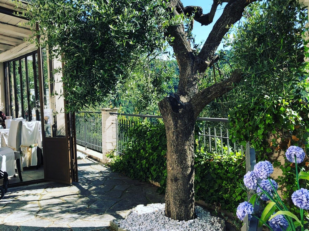 Olle-Viotti酒店住宿-La Corte del Gallo Quality B&B