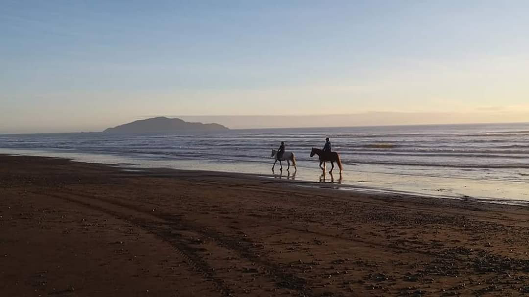 Beachbrook Riding Stables景点图片
