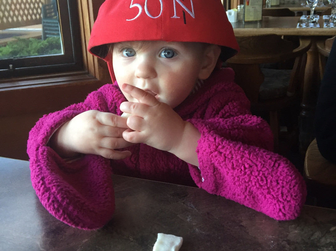 Desolation Sound Marine Provincial Park-Desolation Sound必去景点