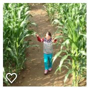 Hicks Family Farm Corn Maze-Charlemont必去景点