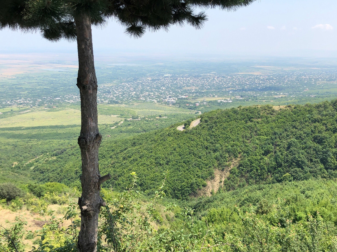 Georgian Paragliding Federation-西格纳吉必去景点