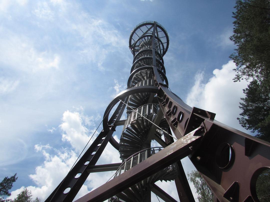 Labanoras Regional Park Observation Tower-Moletai必去景点