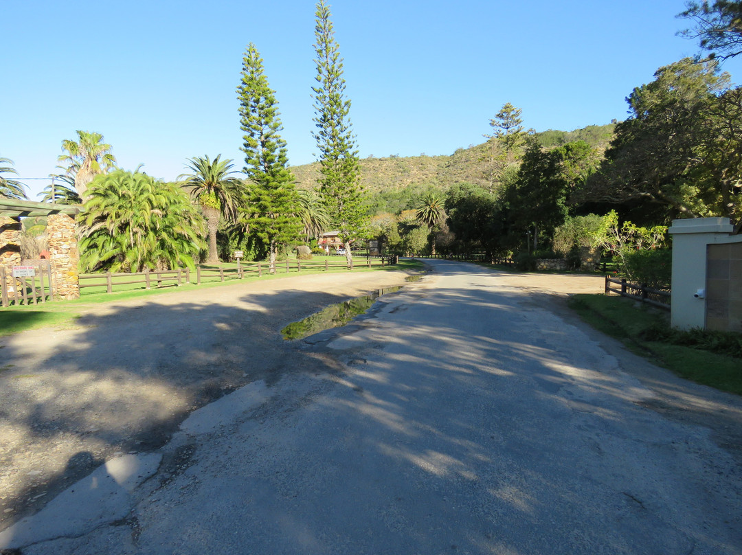 Groenvlei Lake-Sedgefield必去景点