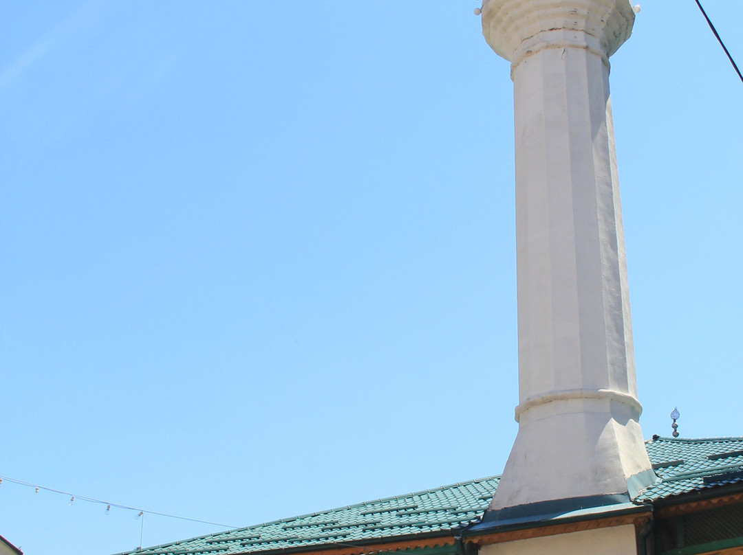 Hadži Ali-Begova džamija景点图片