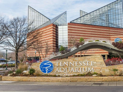 查塔努加瞭望山景戴斯酒店主图