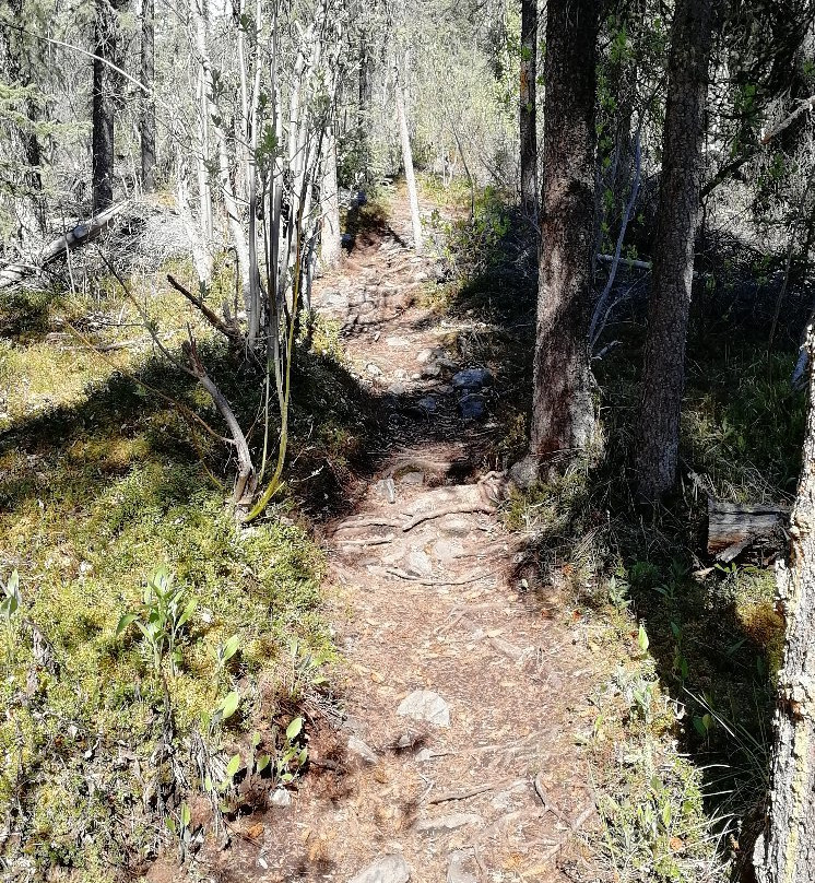 Jàk Territorial Park-Inuvik必去景点