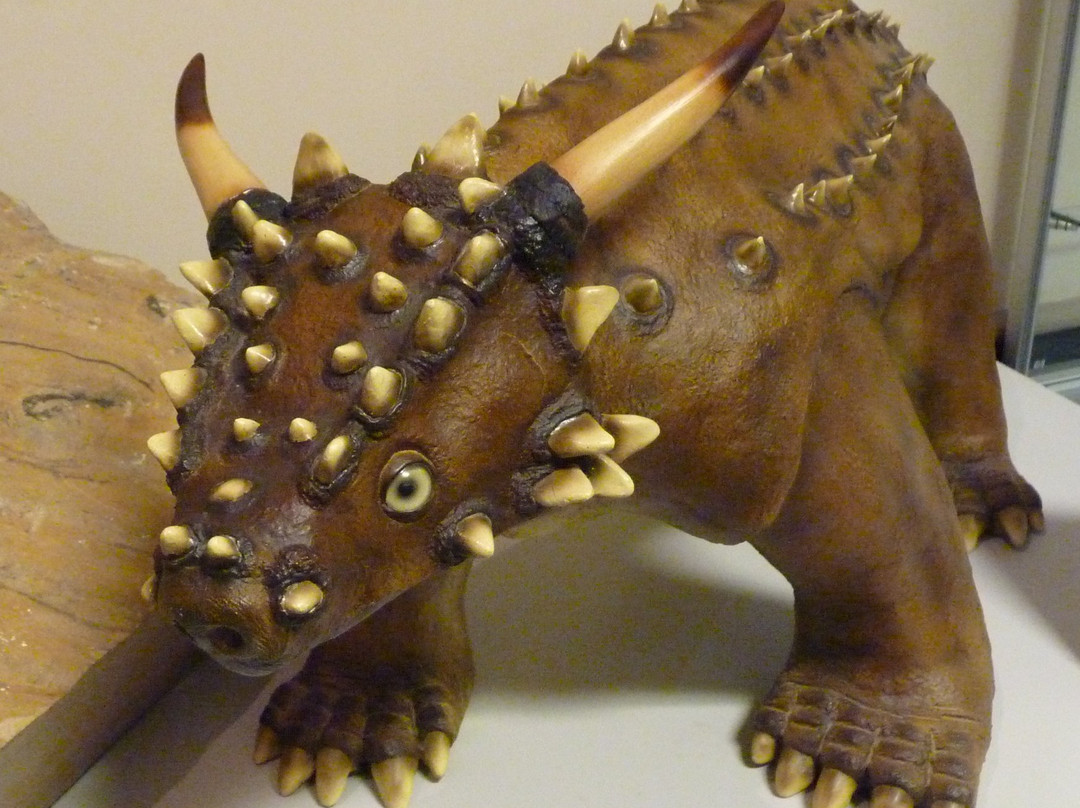 Elgin Museum-埃尔金必去景点