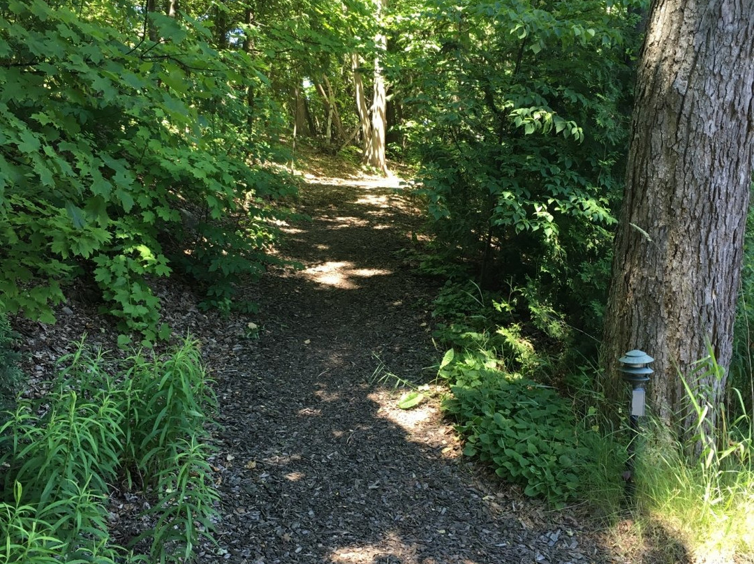 The Landing Resort主图