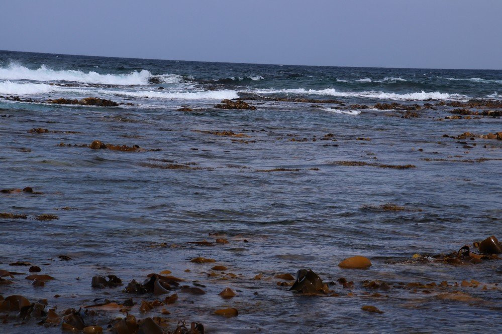 Wreck Beach景点图片