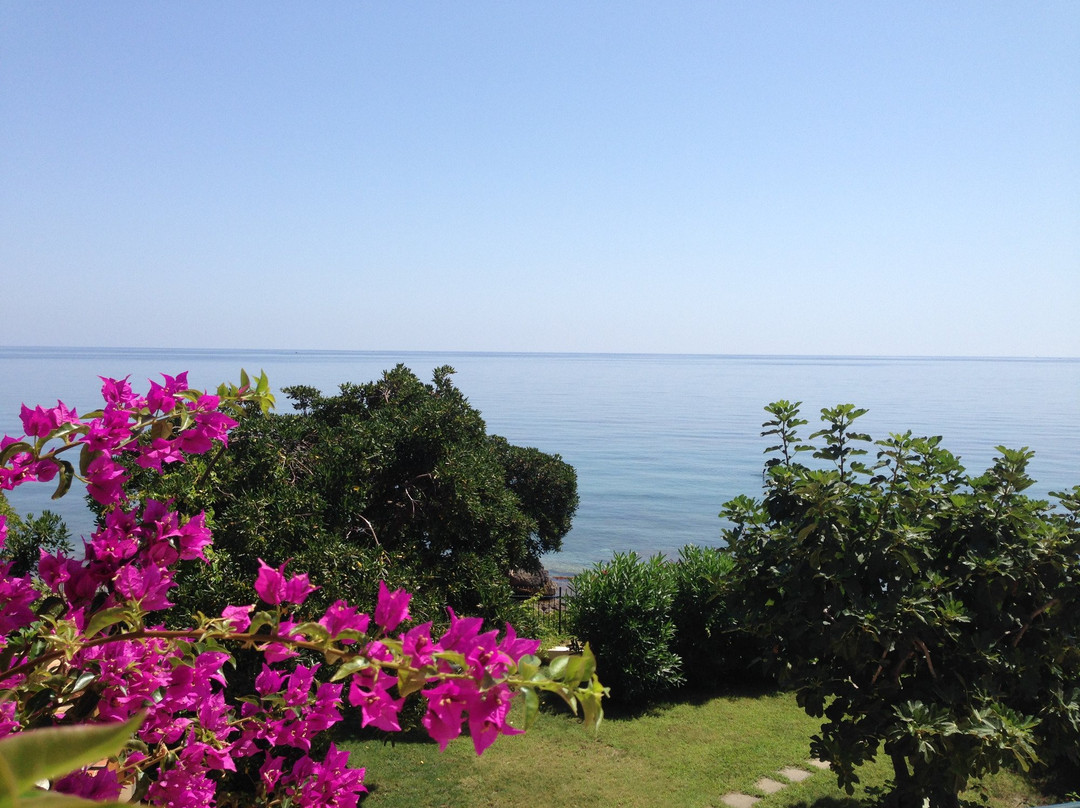 Mondello酒店住宿-B&B Villa Addaura