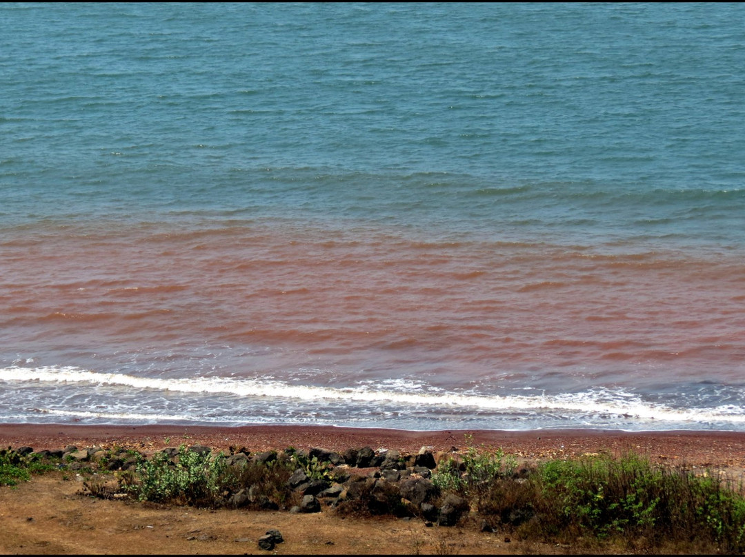 Tamastirth Beach景点图片