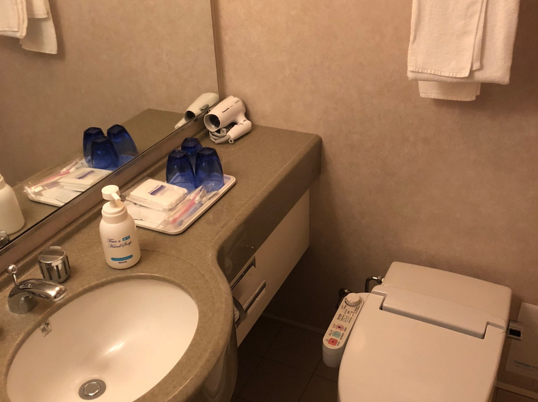 葛西卢米埃尔酒店主图