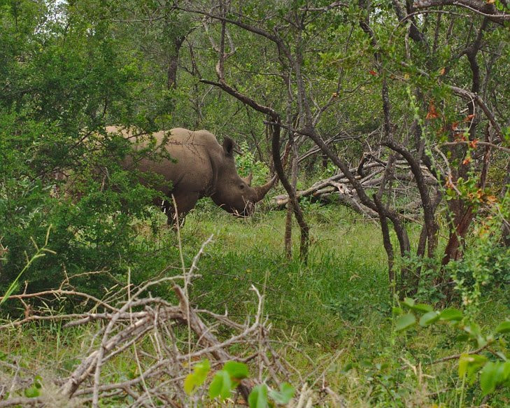 Maseke Mountain Biking-霍德斯普鲁特必去景点