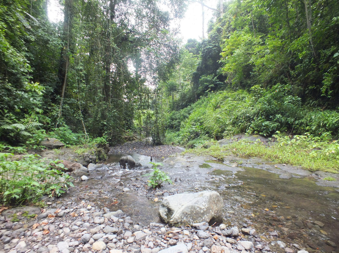 Bombaim Waterfalls景点图片