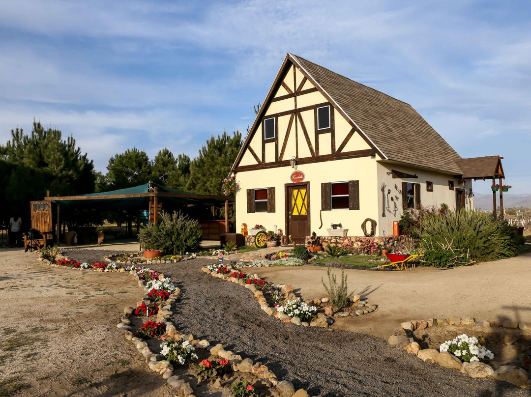 Fernabella's Lodge主图