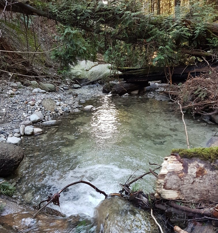 Watershed Park景点图片
