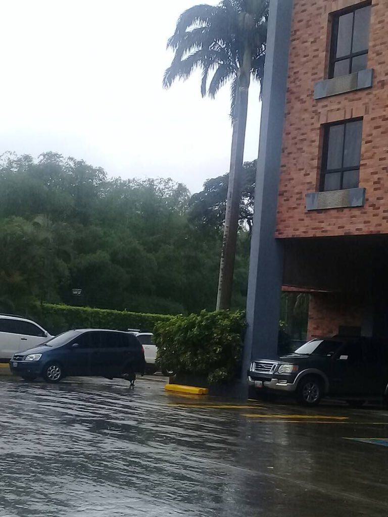 GH Guaparo Suites-浴室